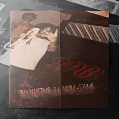 RPB FREESTYLE ft SK Blazin