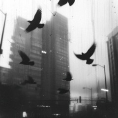 Grey Skies (Interlude)