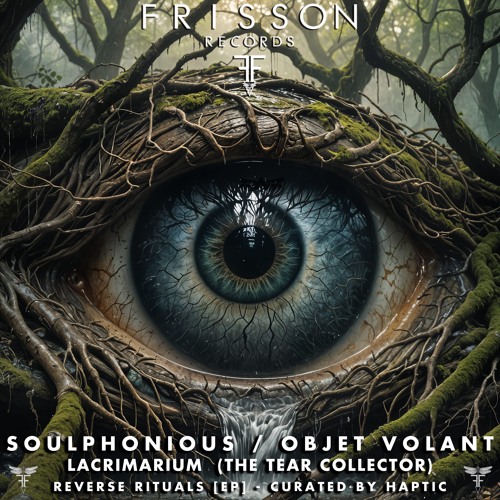 Release from Objet Volant & V:Code PSY, tracks and remixes