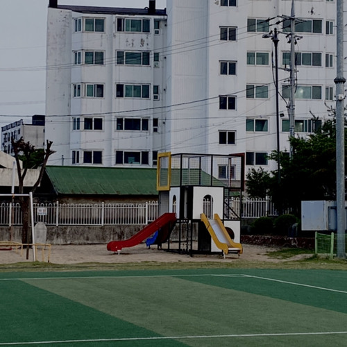 뛰노는 개