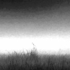 whitearmor-untitled5