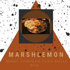 Mohit Chauhan Tujhe Bhula Diya