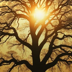 branches-in-the-sky.mp3