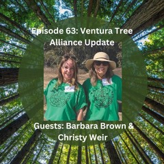 Ventura Vibe! Ep. 63 Ventura Tree Alliance Update