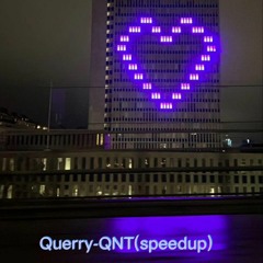 Querry-QNT(speedup)