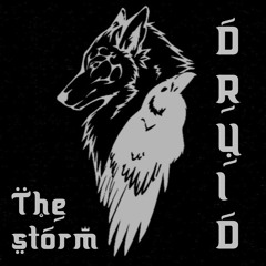 The Storm / Helreid Odin (A Shamanic Incantation Of Love)