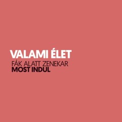VALAMI ÉLET
