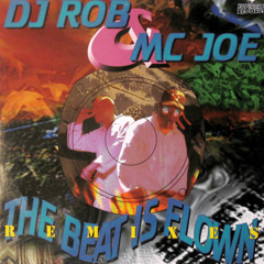 The Beat Is Flown (Nasty Django Remix) [feat. MC Joe]