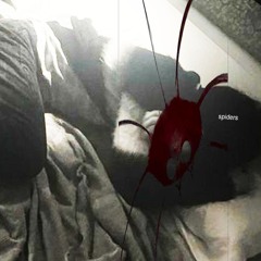 spiders +prod @bloodcryy_