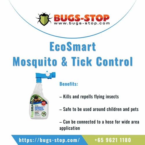 Mosquito Problem and Solutions in Singapore