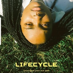 Life Cycle (prod. bluejetta) DEMO