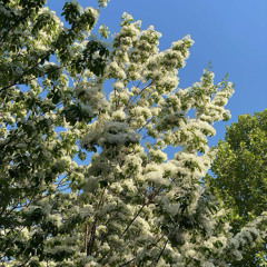 주님 우릴 모으고 마음을 여셨네_대구교회 대학 청년