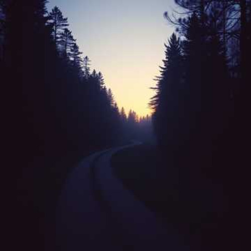 버진 로드 (Virgin Road)