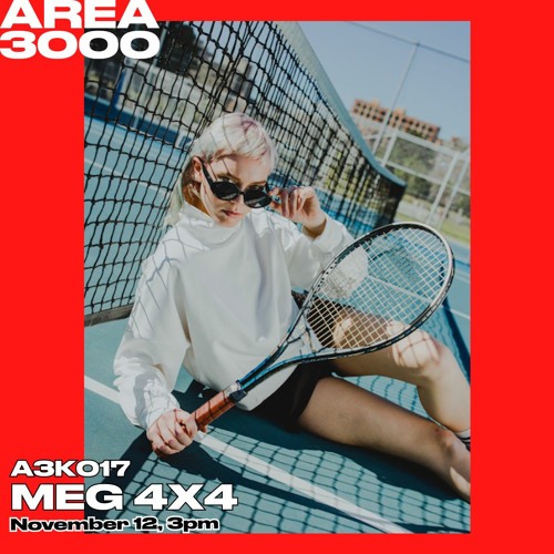 A3K017 Meg 4X4 - November 12th, 2020