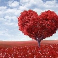 OdasLion San Valentin rintintin❤️❤️❤️🎶🎶🎵🎵