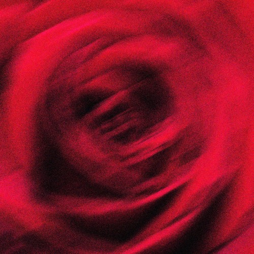 Fiori di sangue e rugiada, Visione I. [Hildegard] - Paris mix, 2023