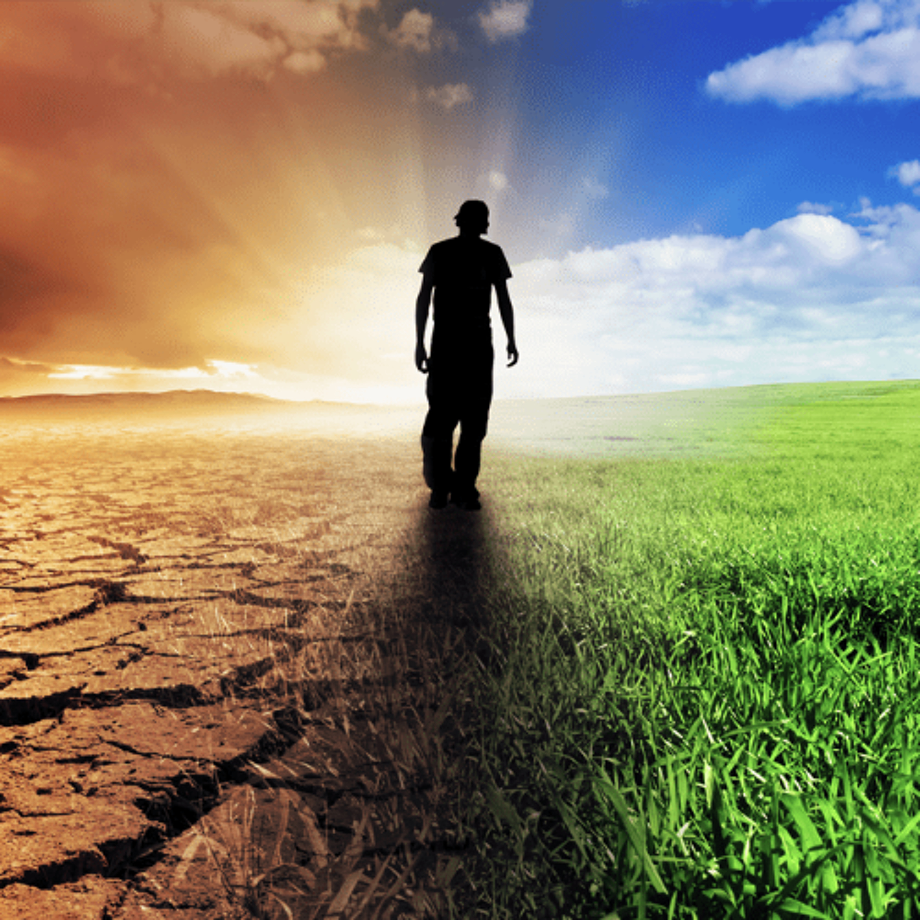 Life, Death and Letting Go - Alan Watts