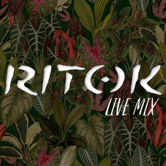 RITOK Live mix 🎵🌍