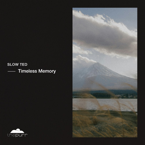 Premiere: Slow Ted - Timeless Memory (Extended Mix) [The Purr]