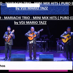 TRIO - BOLERO - MARIACHI TRIO - MINI MIX HITS ( PURO EXITOS ) by VDJ MARIO TAZZ