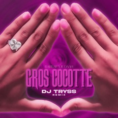 Barbar X Le Daah - Gros Cocotte (DJ TRYSS Remix)