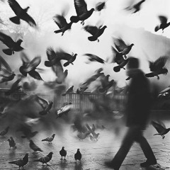 MIGUEL Deneb - Le Monde Est A Nous