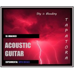 REIMAGINED - Sky is Bleeding  ( acoustic guitar ) - Lyrics