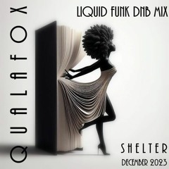 Liquid Funk DNB Mix | Shelter | December 2023