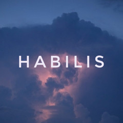 Olafur Arnalds -and we’ll leave it there - Habilis Remix