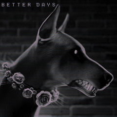 Premo-Better days