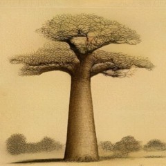 *SORT IT* Shawn•Lemon [ić] 🍋