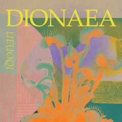 DIONAEA
