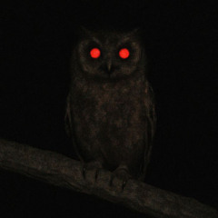 𝐑𝐎𝐔𝐏𝐀 𝐃𝐀 𝐒𝐀𝐅𝐀𝐃𝐀 (𝐒𝐋𝐎𝐖𝐄𝐃 + 𝐑𝐄𝐕𝐄𝐑𝐁)