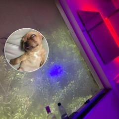 PERREO ROMANTICO - RUIZ DJ