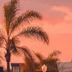 icytwat type beat - "cooler"