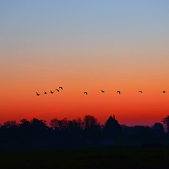 It will be dawn soon.