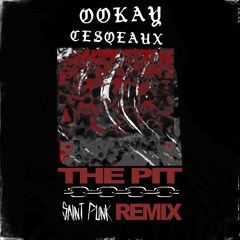 Ookay & Cesqeaux - The Pit (Saint Punk Remix)