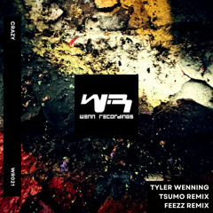 Crazy (FEEZZ Remix)