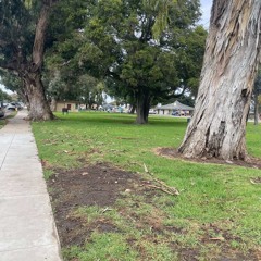 deja vu prod outtafunds