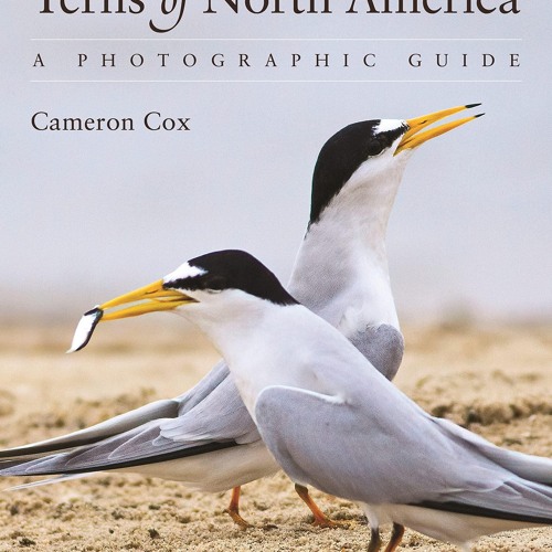 PDF Terns of North America: A Photographic Guide full