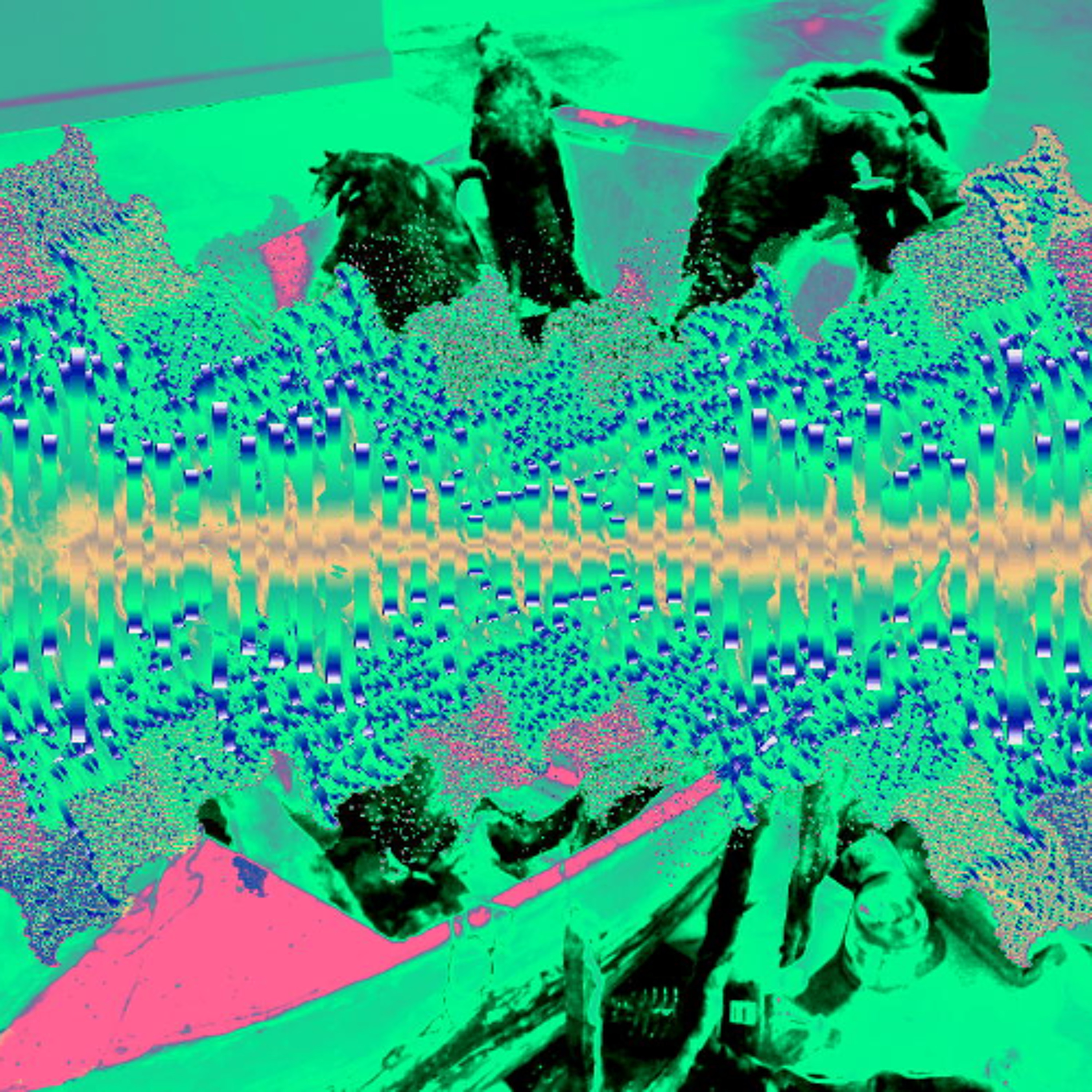 PLATO No. 11115 Innocent Plantings episode artwork