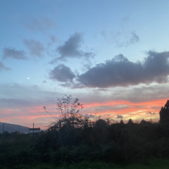 è quella giusta 💚