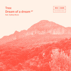 Trex 'Dream Of A Dream' [SUNANDBASS Recordings]
