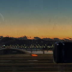 Supermarket Flowers (clara cover)