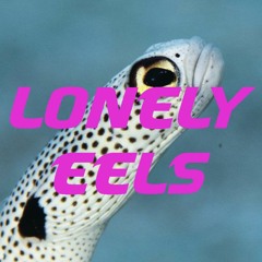 Lonely Eels