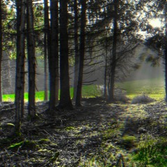 Blade (prod.johnnyfriend)