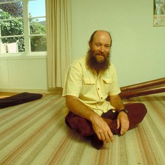 In Focus: Terry Riley