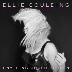 Anything Could Happen (Birdy Nam Nam Remix)
