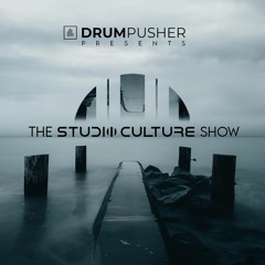 The Studio Culture Show 7 (Mixed By Jason InKey)