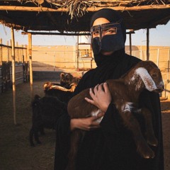 "ظبيٍ جفول وتتعب اللي يشدك"